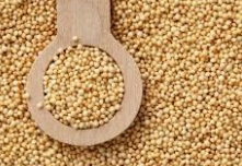 Amaranth Millets