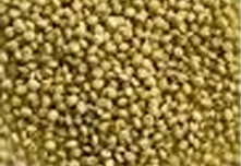 Browntop Millets