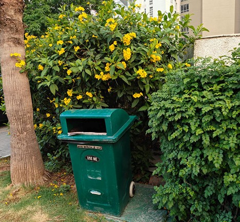 Plant and its positivity