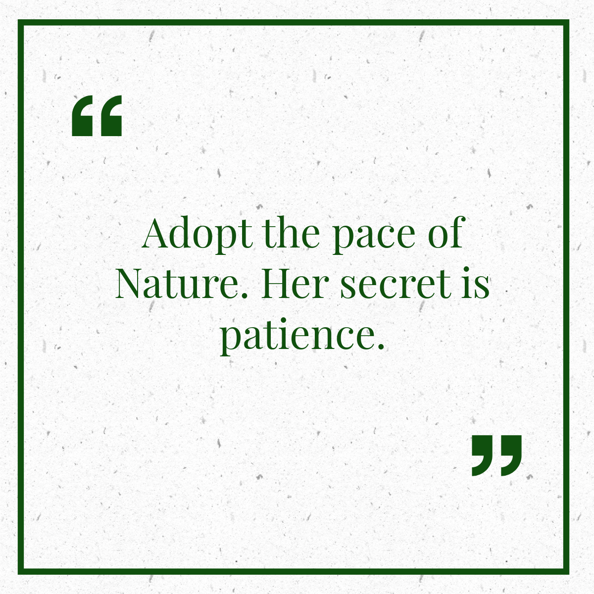 Nature quote 13