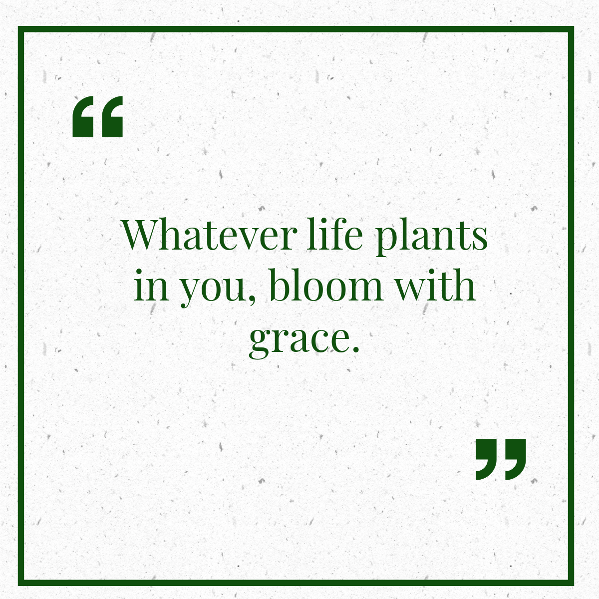 Nature quote 17