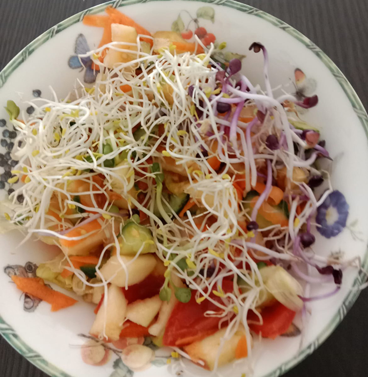 Alfalfa Sprouts Salad 