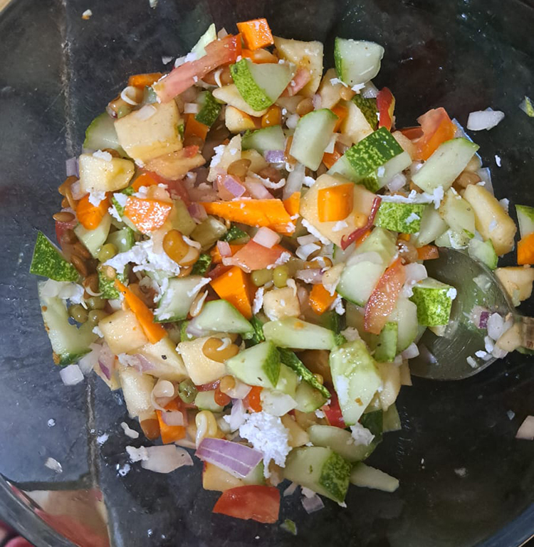 Sprouts Salad