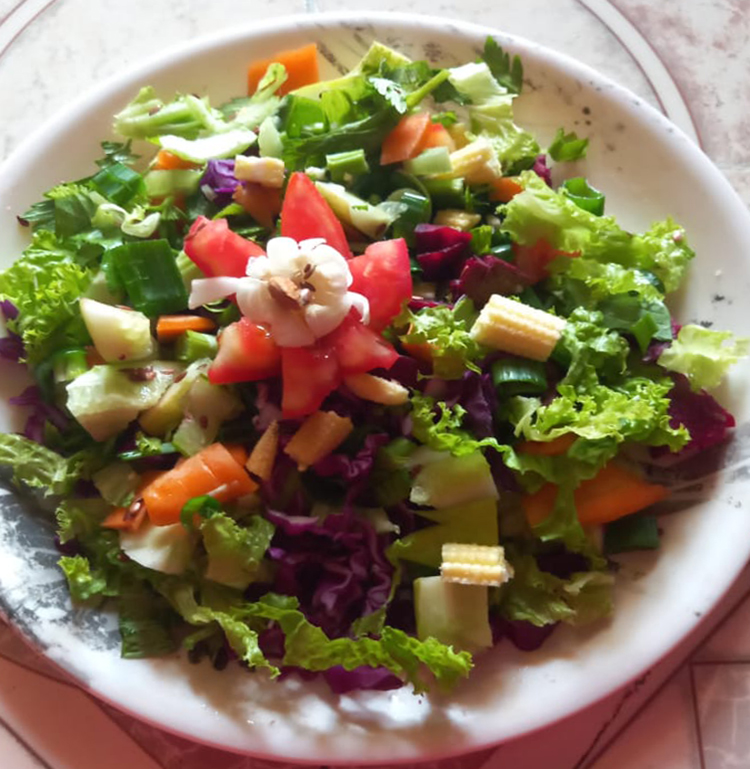 Mix Vegetable Salad 